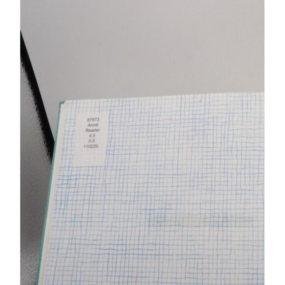 The House Gobbaleen by Lloyd Alexander ©1995 Dutton Childrens Books Ex Lib - Picture 8 of 10